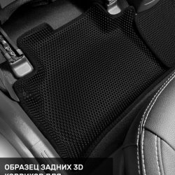 Левый пассажир