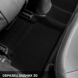 Левый пассажир