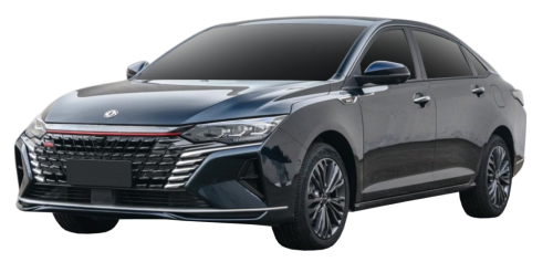 2D коврики EVA в салон и багажник  на DongFeng Shine Max (2023-н.в)