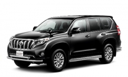 2D коврики EVA в салон и багажник на Toyota Land Cruiser Prado 150 (2009-2013)