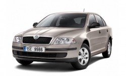 3D коврики EVA с бортами в салон на Skoda Octavia II A5 (2004-2013)